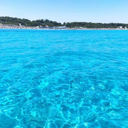 Chourmo, Barca A Vela Vintage * San Foca